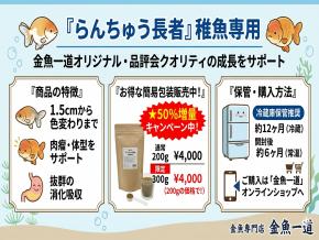 らんちゅう長者 稚魚専用餌【送料無料】