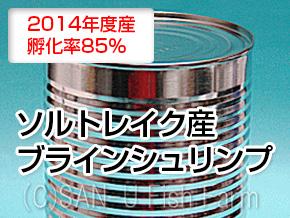 ブラインシュリンプ　2014年度ソルトレイク産