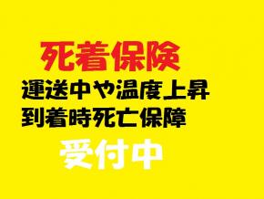 ■死着保険受付中