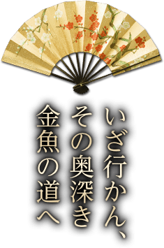 いざ行かん、その奥深き金魚の道へ