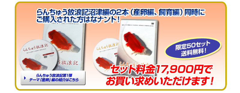 �Z�b�g�̔�