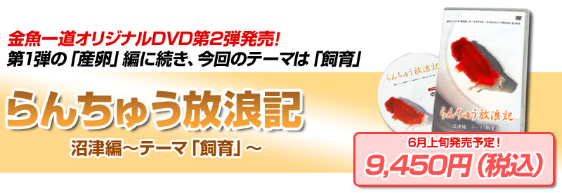 �����ꓹ�I���W�i��DVD��񂿂イ���Q�L���Õҁ`�e�[�}����`����