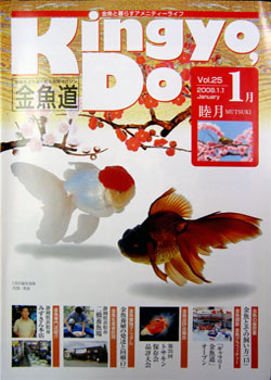 金魚道25