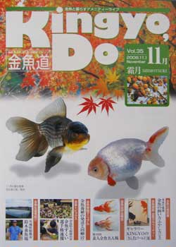 金魚道35