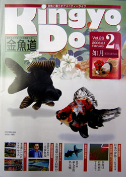 金魚道26