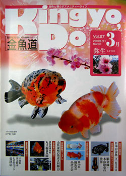 金魚道27