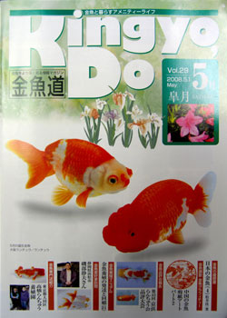 金魚道29