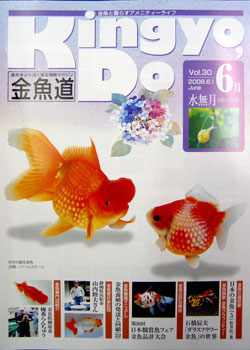 金魚道30