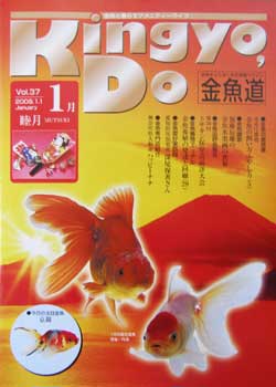 金魚道37