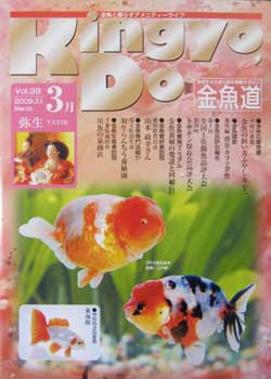 金魚道39