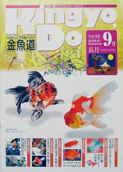 金魚道33