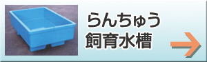 񂿂イ琅
