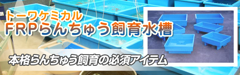 g[P~J@񂿂イ琅