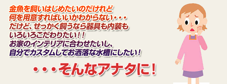 自分でカスタムしてお洒落な水槽にしたい!そんなあなたに