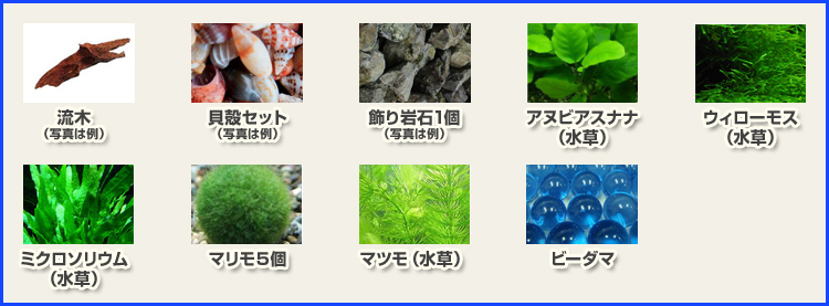 �C���e���A����