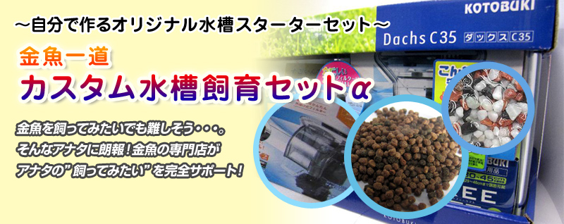 �����ꓹ�J�X�^����������Z�b�g