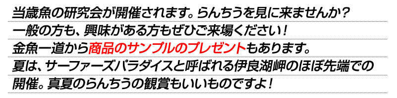 ���΋��̌�����J�Â���܂��B��񂿂イ�����ɂ��܂��񂩁H