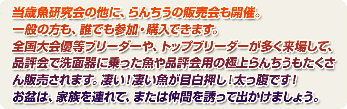 ���΋��̌�����J�Â���܂��B��񂿂イ�����ɂ��܂��񂩁H