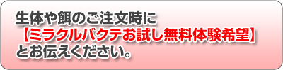 �~���N���o�N�e�T���v��