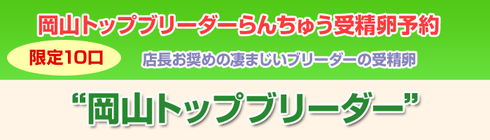 岡山トップブリーダーらんちゅう受精卵予約