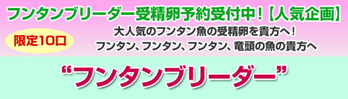 フンタンブリーダー受精卵予約受付中！