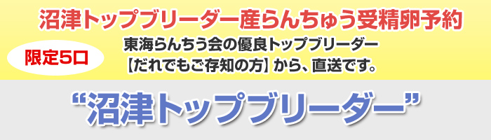 沼津トップブリーダー産らんちゅう受精卵予約